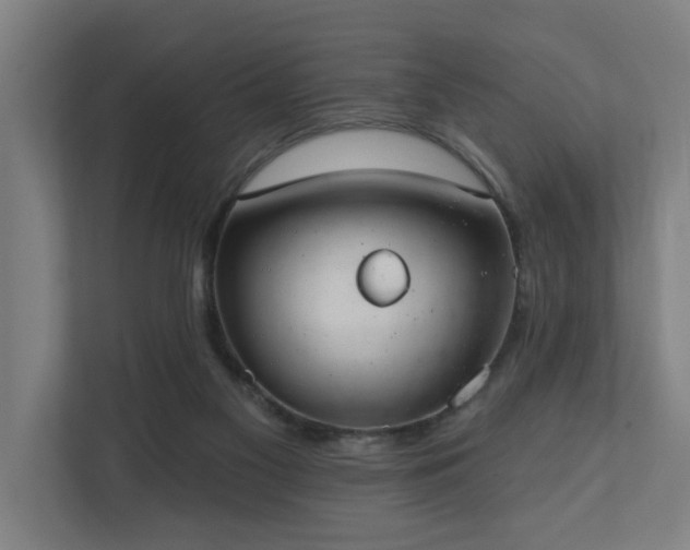 X0000110760117200906151313