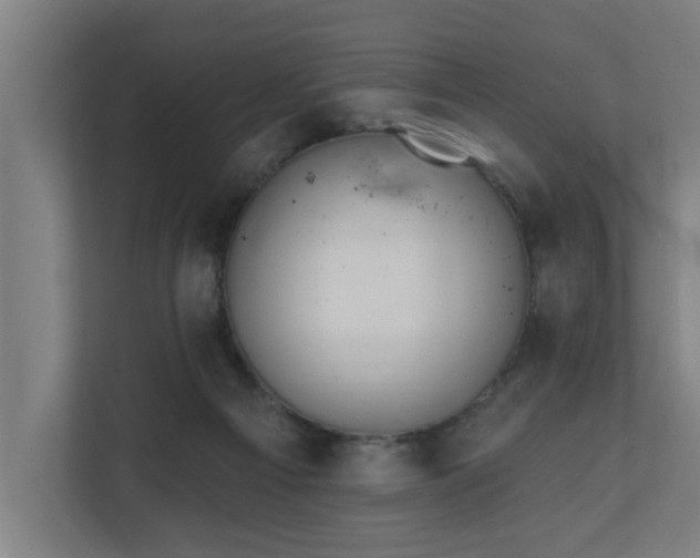 X0000110760121200906151313