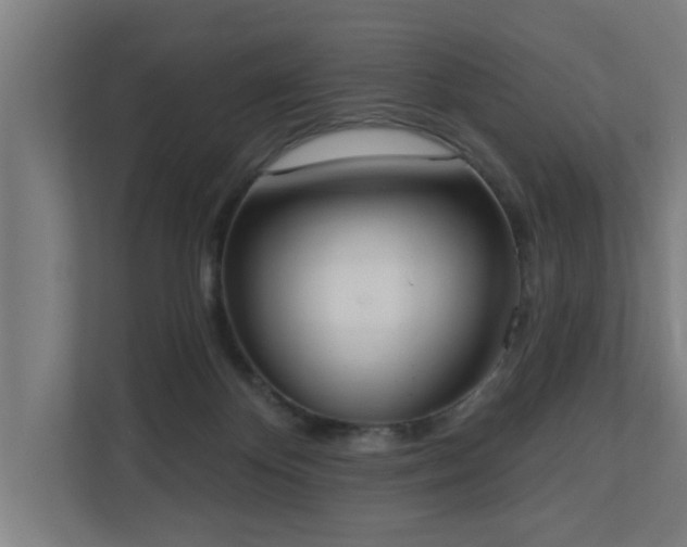 X0000110760124200906151313