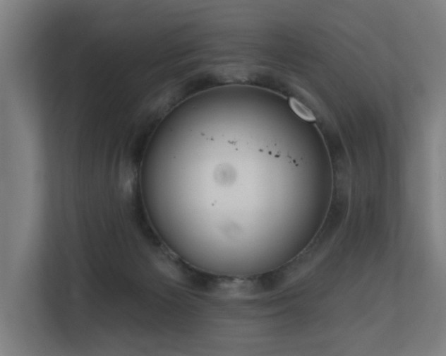 X0000110760125200906151313