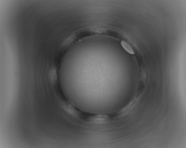X0000110760128200906151313
