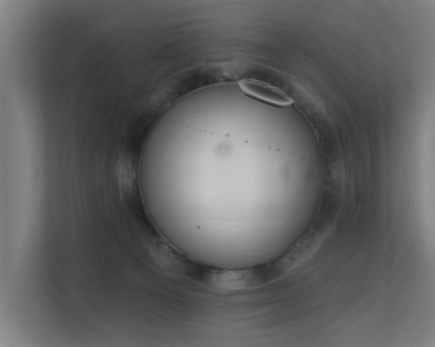 X0000110760129200906151313