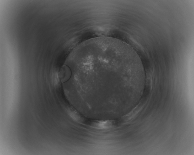 X0000110760130200906151313