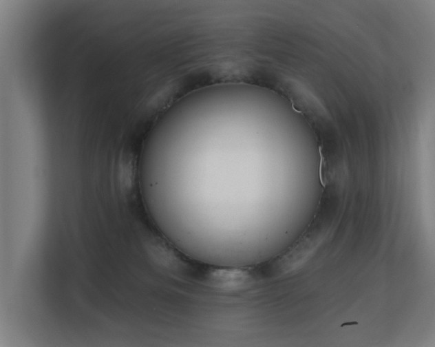 X0000110760133200906151313