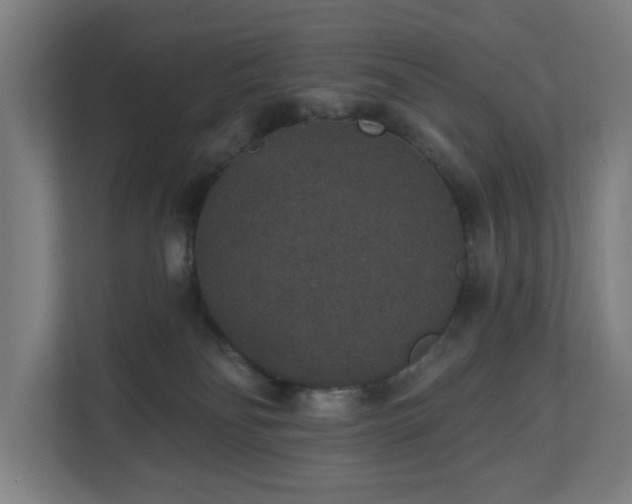 X0000110760134200906151313