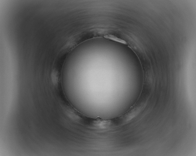 X0000110760135200906151313