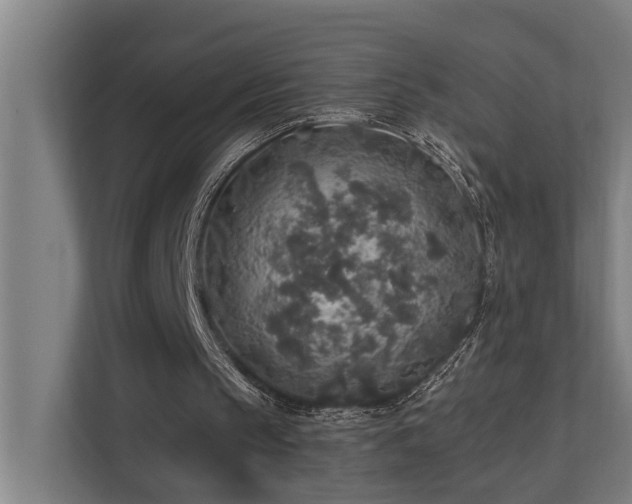 X0000110760145200906151312