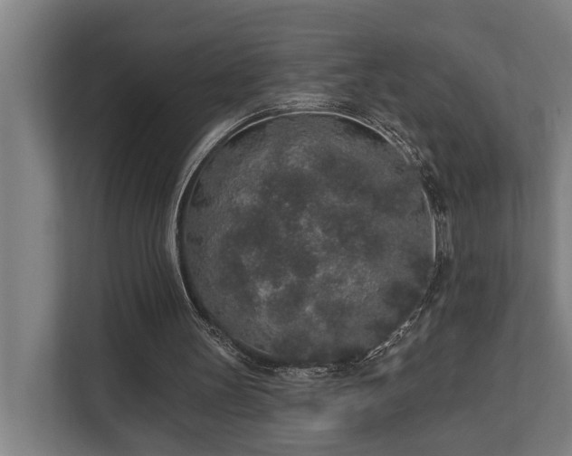 X0000110760147200906151312