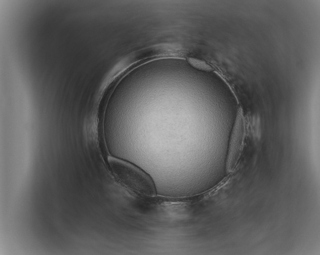 X0000110760150200906151312