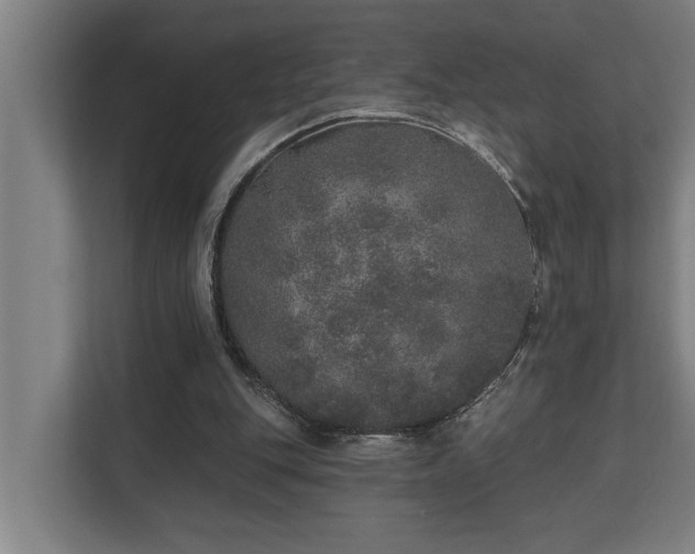 X0000110760151200906151312