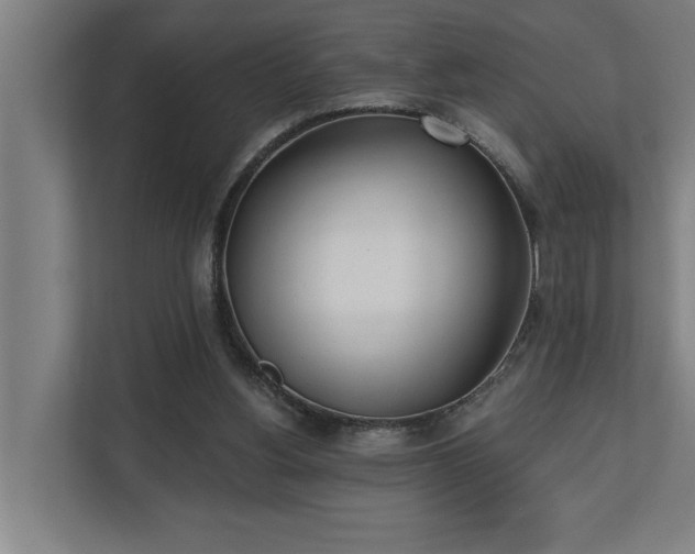 X0000110760156200906151313