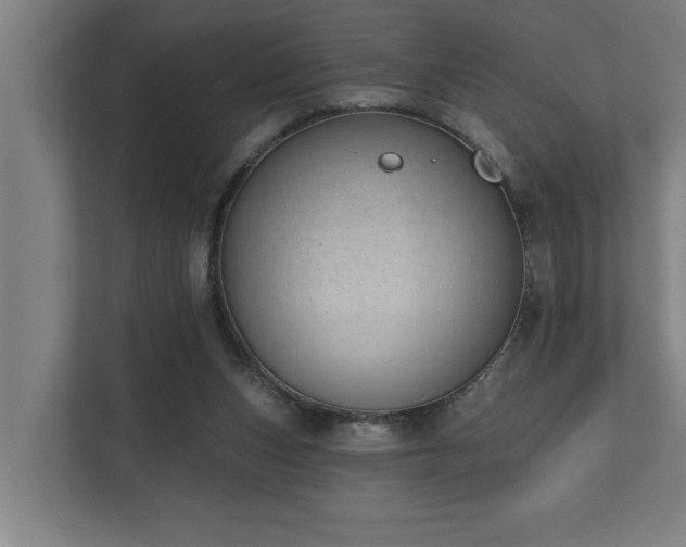 X0000110760159200906151313