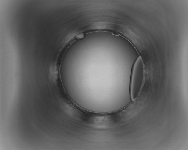 X0000110760160200906151313
