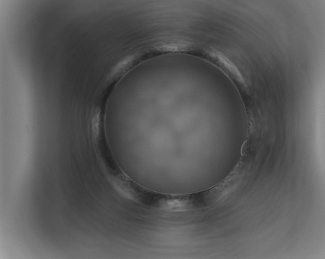 X0000110760163200906151313