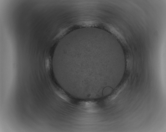 X0000110760165200906151313