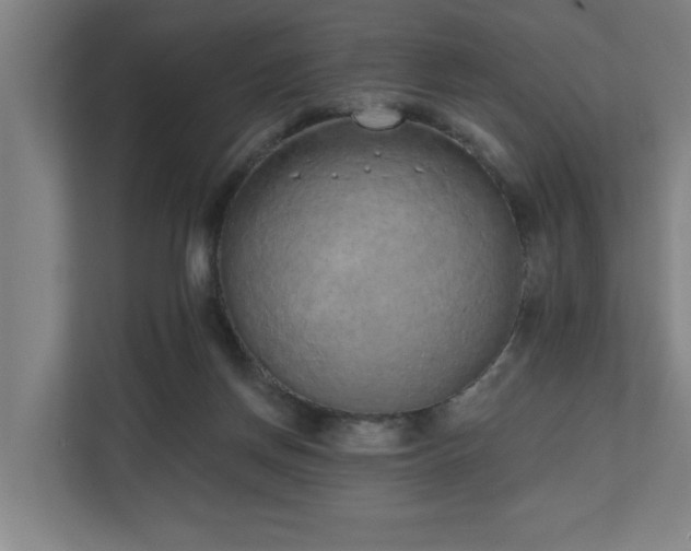 X0000110760166200906151313