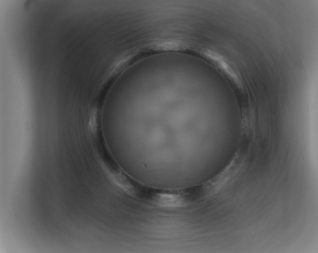 X0000110760167200906151313