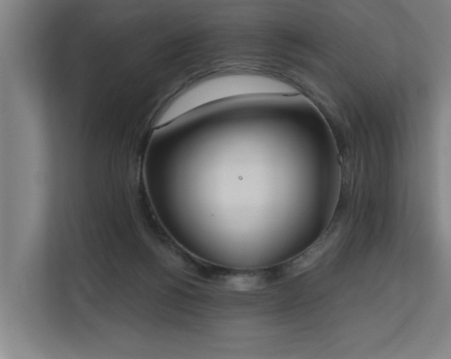 X0000110760168200906151313