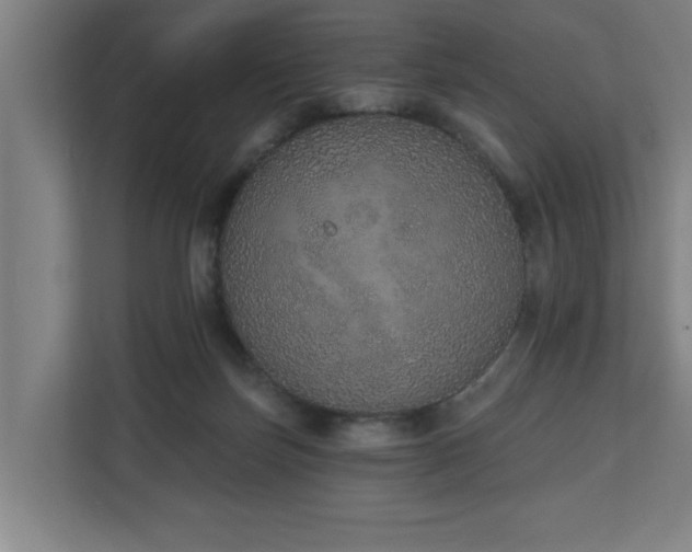 X0000110760171200906151313