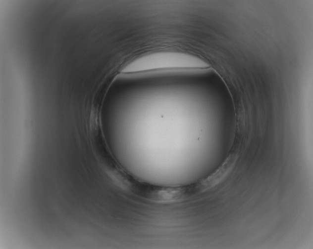 X0000110760172200906151313