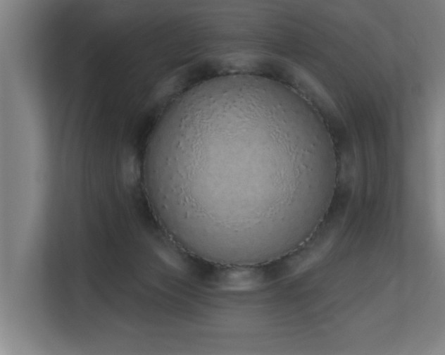 X0000110760173200906151313