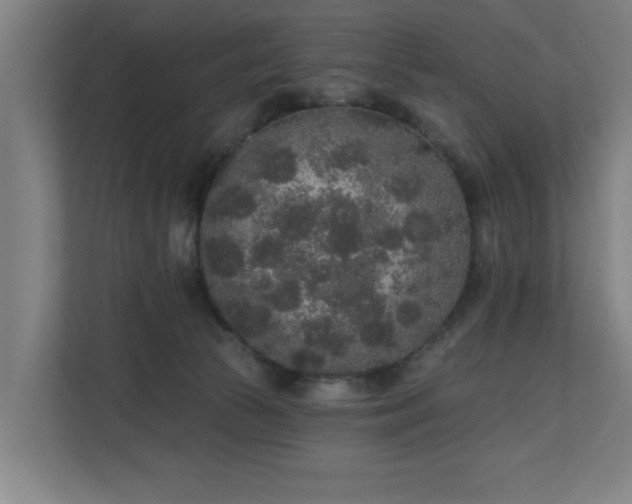 X0000110760177200906151313