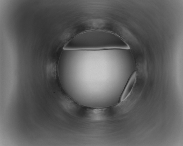 X0000110760184200906151313