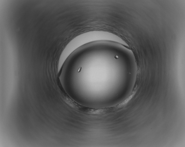 X0000110760186200906151313