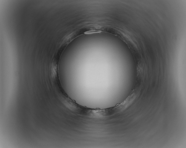 X0000110760188200906151313