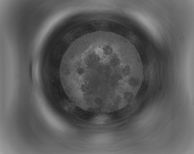 X0000110760189200906151313