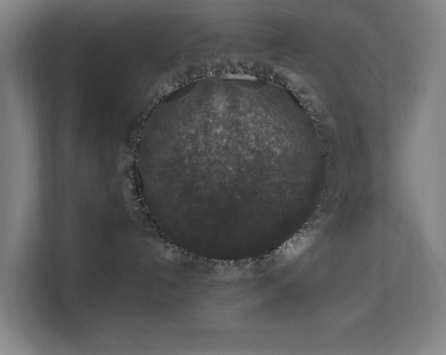X0000110760192200906151313