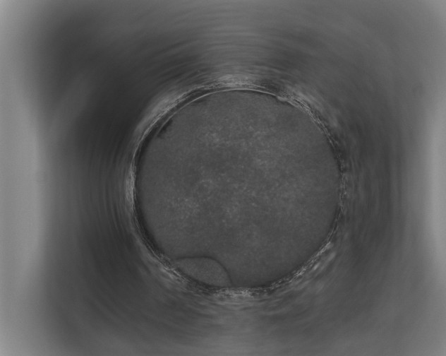 X0000110760194200906151312