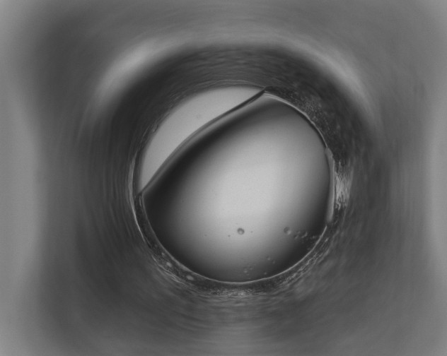 X0000110760195200906151312