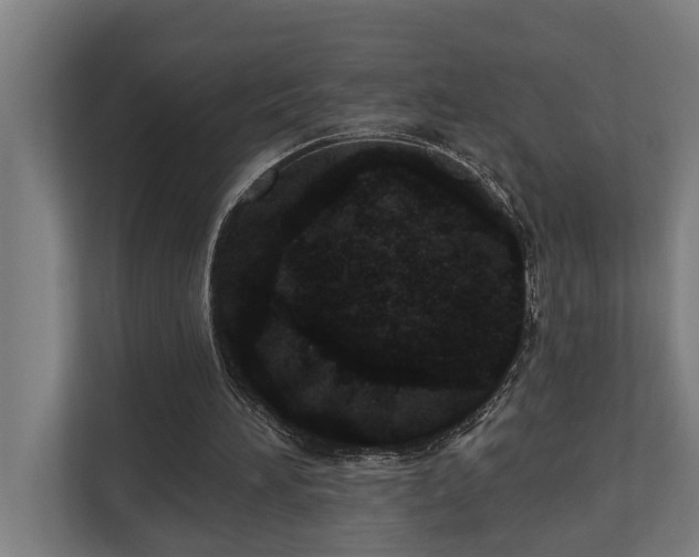 X0000110760196200906151312