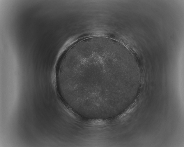 X0000110760198200906151312