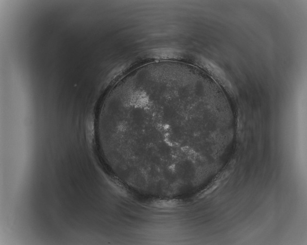 X0000110760202200906151312