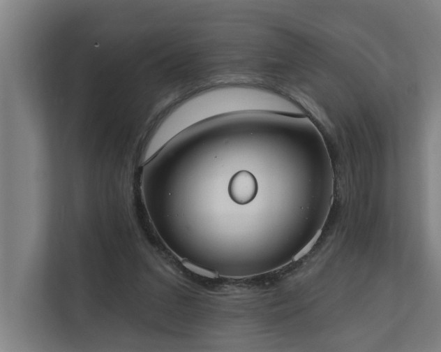 X0000110760207200906151312