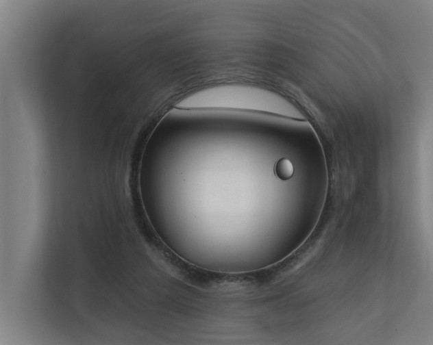 X0000110760209200906151312