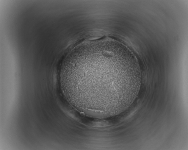 X0000110760215200906151312