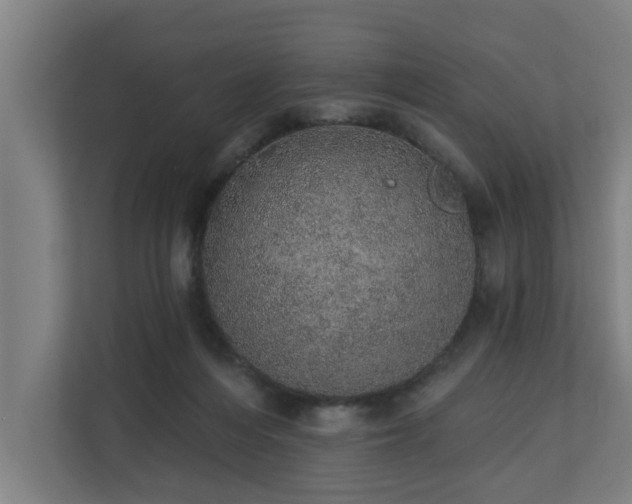 X0000110760216200906151312