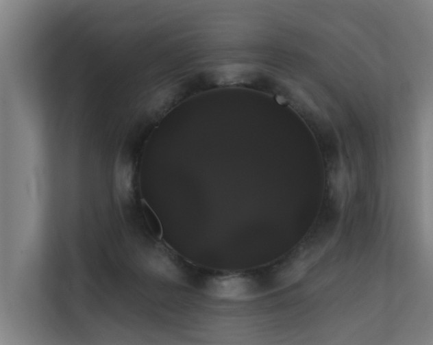X0000110760219200906151312