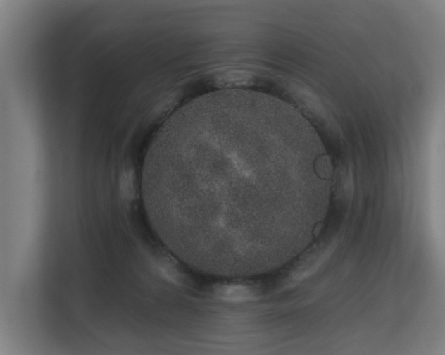 X0000110760224200906151312