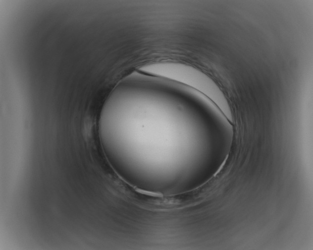 X0000110760225200906151312