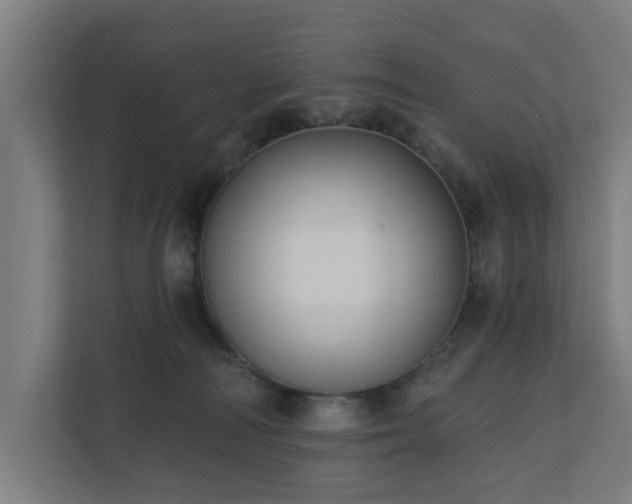 X0000110760226200906151312