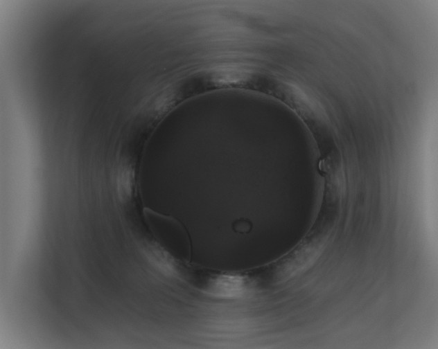 X0000110760227200906151312