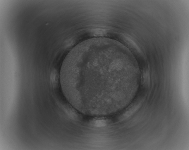 X0000110760228200906151312