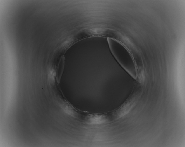 X0000110760235200906151312