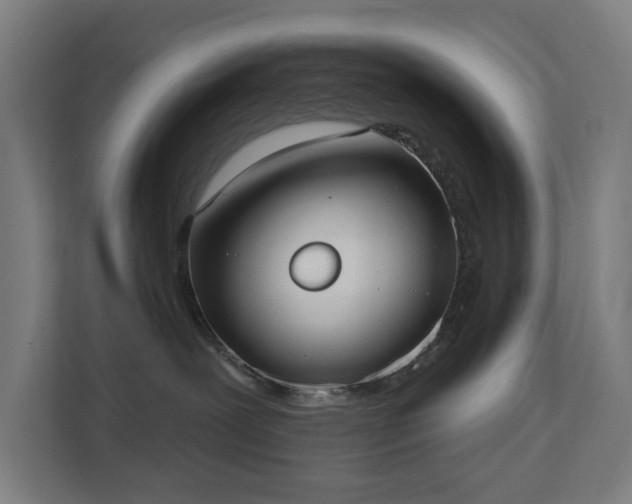 X0000110760239200906151312