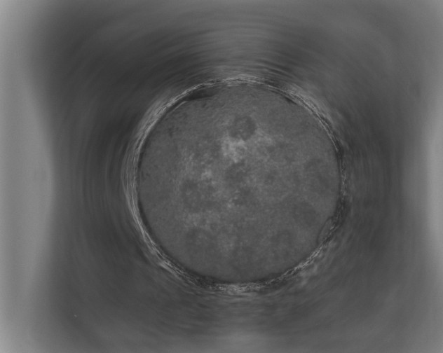 X0000110760241200906151311