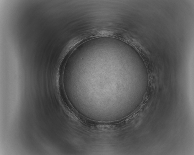 X0000110760242200906151311